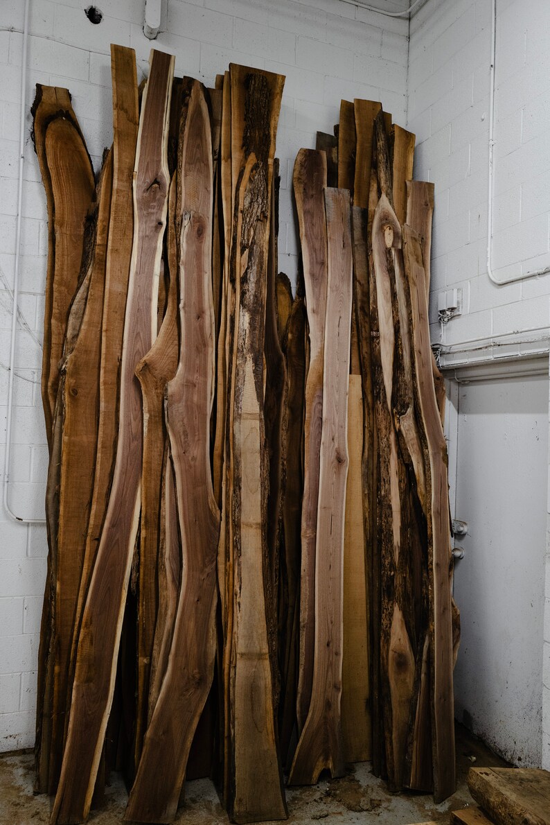 Live Edge Black Walnut 59in 1.5 Thick ,kiln Dried, Surfaced Both Sides