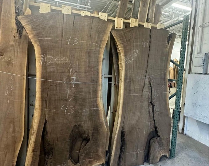 Live Edge Wood Slabs