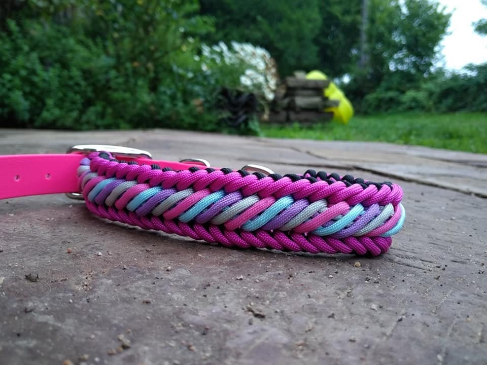 Collier Pour Chien Réglable/ Modèle Ostria Rose 41-49cm