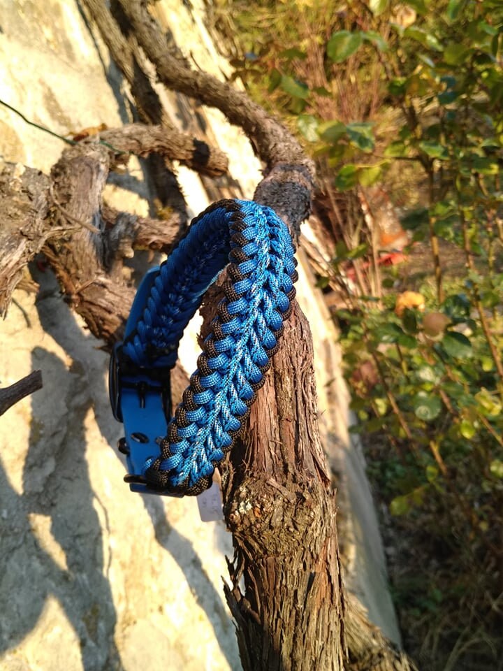 Collier Modèle Tyton 39-45cm