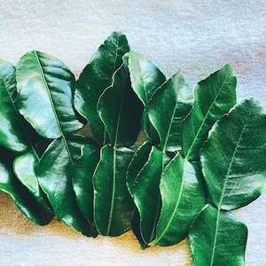 May include: A close-up of a collection of fresh, vibrant green kaffir lime leaves. The leaves are arranged in a cluster, showcasing their glossy texture and distinct shape. The background is a soft, white surface.