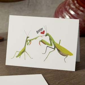 Divertente biglietto di San Valentino con insetto / Biglietto d'amore con mantide religiosa / Biglietto d'auguri con gioco di parole Boop per lui o per lei / Biglietto carino 5x7 con busta / Umorismo sugli insetti