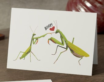 Funny Insect Valentine Card | Praying Mantis Love Card | Boop Pun Greeting Card for Him or Her | 5x7 Cute Card with Envelope | Bug Humor