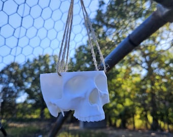Hanging Skull Indoor Planter, 3D Replica Skull Plant Pot, House Plants Succulents, Gothic Halloween Decor