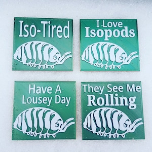 Isopod magnet, 3D Printed Insect Magnet, 3D Printed Isopod Decoration