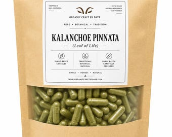 Kalanchoe Pinnata Powder Capsules | Botanical Material | Natural Plant-Based Capsules | Organic Craft by Dave