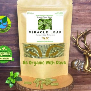Miracle Leaf Capsules: Kalanchoe Pinnata, Vegan Herbal Supplement