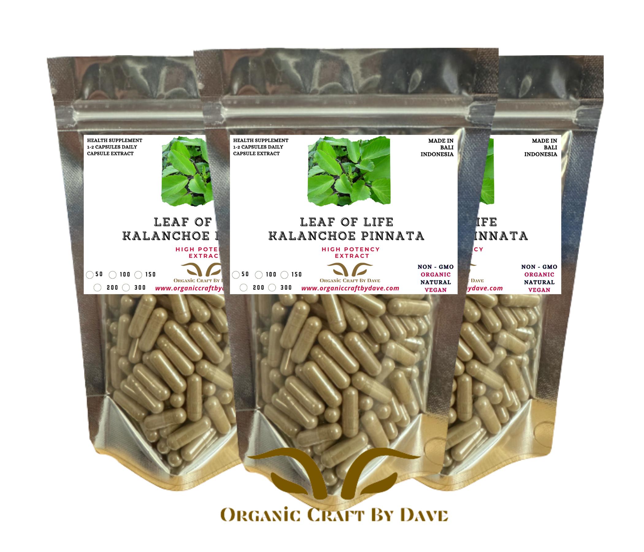 Organic Kalanchoe Pinnata 600 mg Vegetarian Capsules Pure Leaf of Life Natural Capsule Miracle - Love plant - Organic Craft By Dave