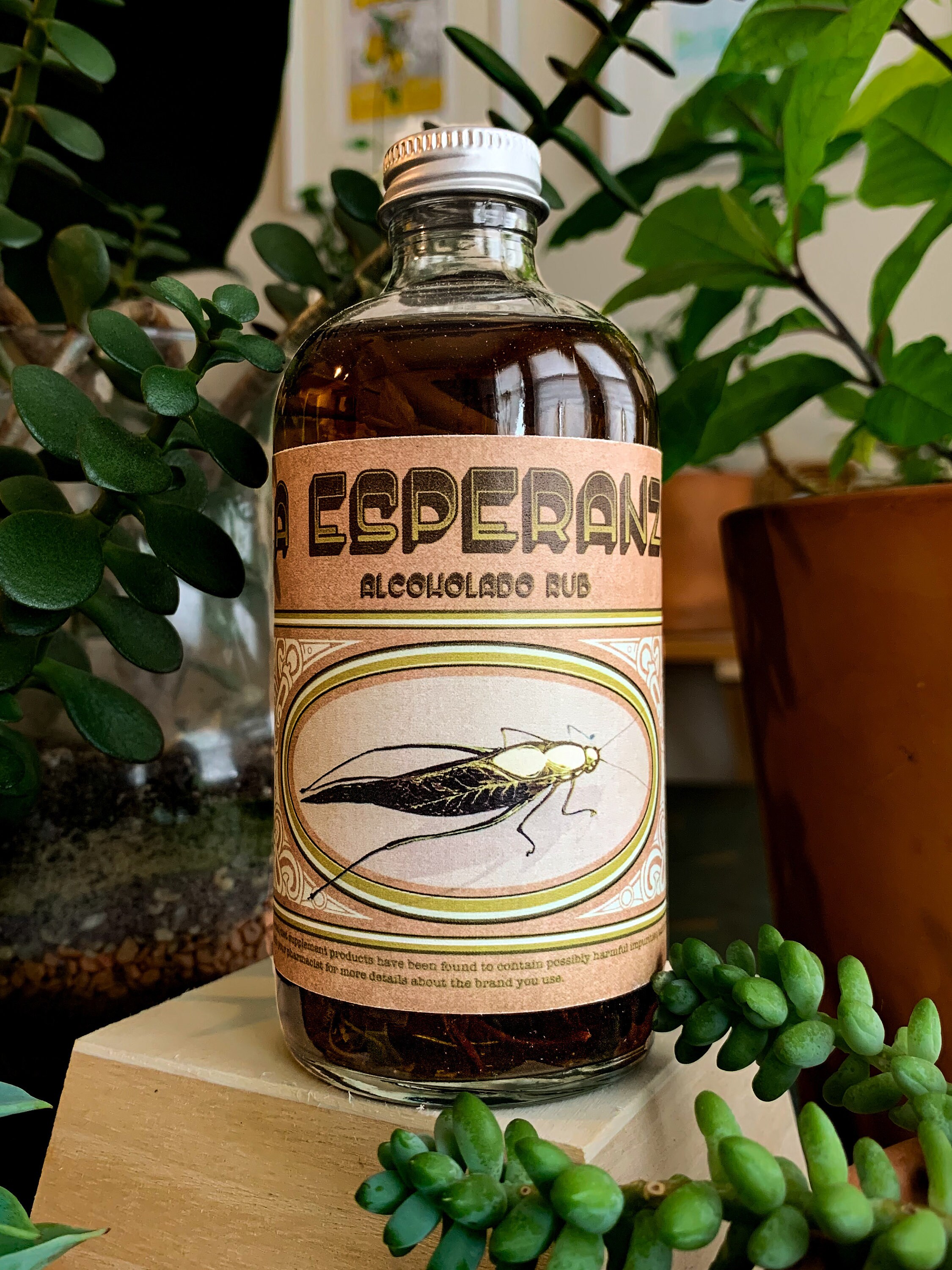 Alcoholado De Malagueta la Esperanza bay Rum Tree Etsy