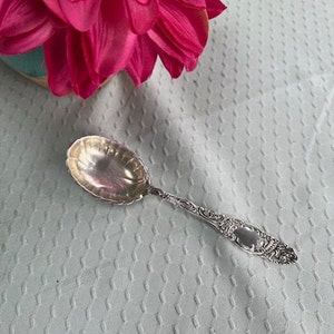 May include: A silver sugar spoon with an ornate handle and a scalloped bowl. The spoon is lying on a white textured surface.
