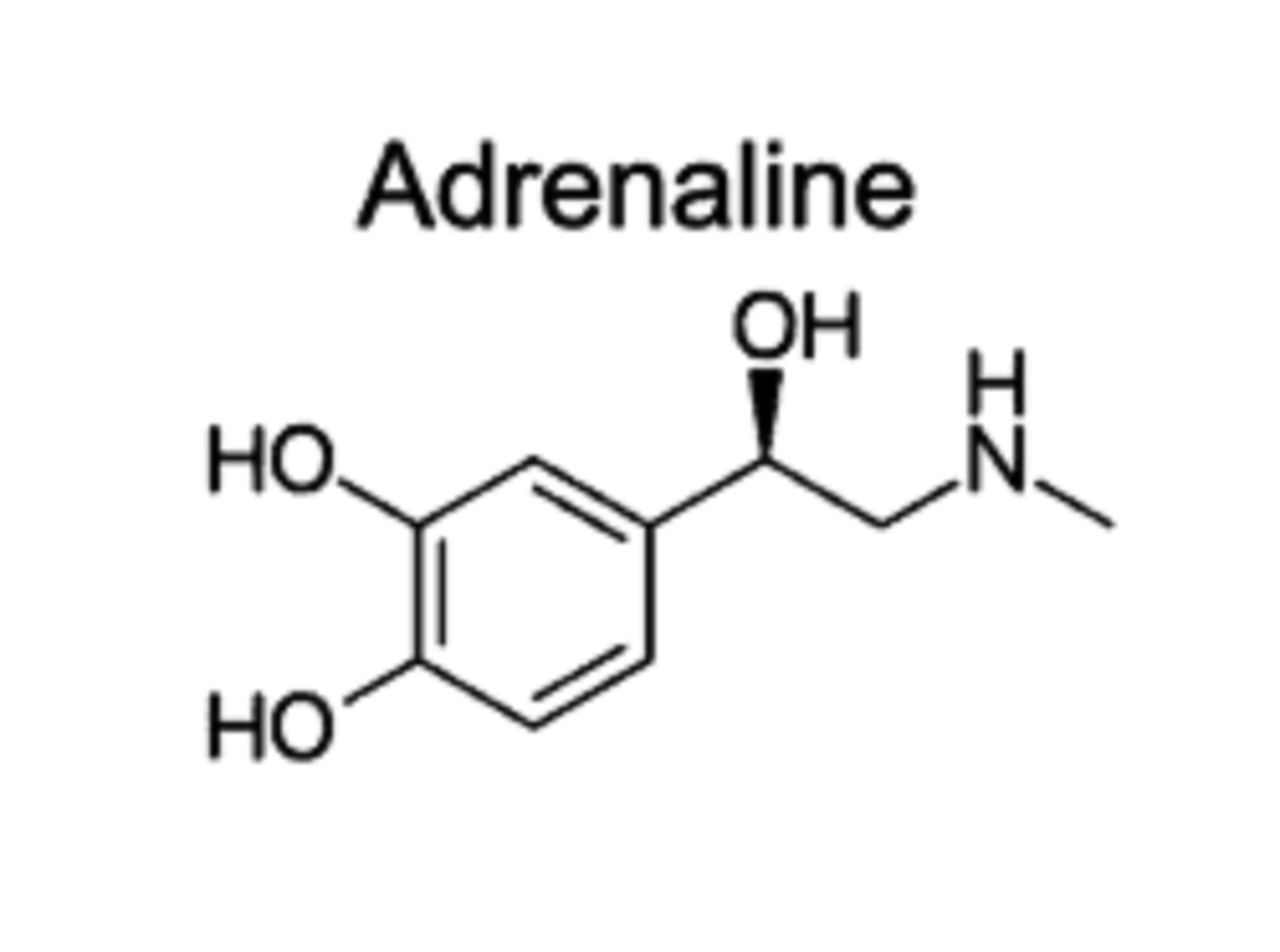 Adrenaline Molecule Vinyl Decal JDM Car Laptop Phone Window Sticker - Etsy
