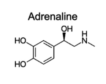 Adrenaline Molécula Vinilo Calcomanía JDM Car Laptop Phone Window Sticker