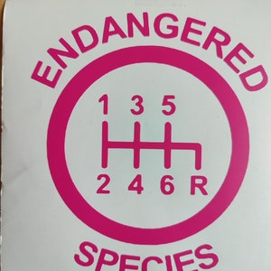 Może przedstawiać: R&oacute;żowa naklejka winylowa z tekstem "ENDANGERED SPECIES" w k&oacute;łku wok&oacute;ł r&oacute;żowego wzoru zmiany bieg&oacute;w z numerami 1, 2, 3, 4, 5, 6 i R.