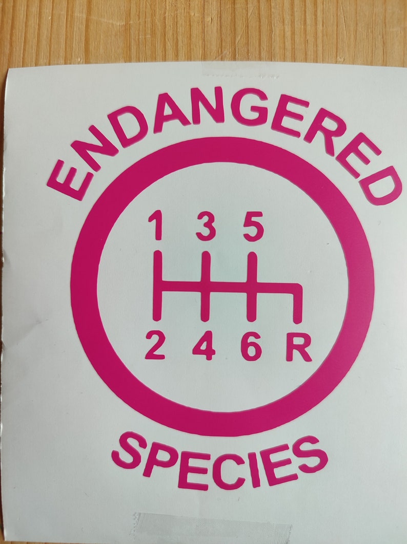 Może przedstawiać: R&oacute;żowa naklejka winylowa z tekstem "ENDANGERED SPECIES" w k&oacute;łku wok&oacute;ł r&oacute;żowego wzoru zmiany bieg&oacute;w z numerami 1, 2, 3, 4, 5, 6 i R.