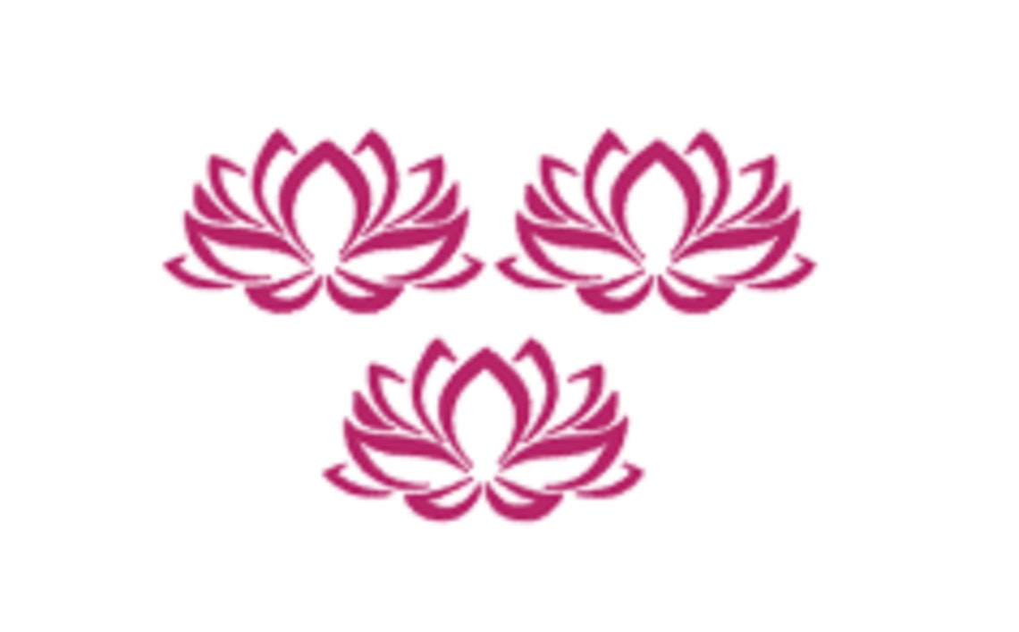 Set of 3 Flower Decals Flower Vinyl Decalssliding Glass Etsy