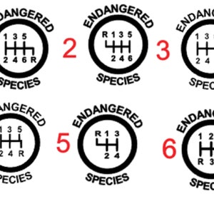 May include: Six black and white circular stickers with the words "ENDANGERED SPECIES" printed around the edge. Each sticker features a stylised gear shift pattern with numbers and the letter "R" for reverse.