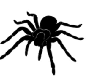 Spider and Web Fun, Halloween, Spider Logo Vinyl Decals, Laptop Stickers, MacBook Decal,