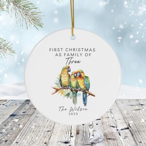 Personalized Parrots Ornament, Family of Three Parrots Ornament, Parrot Family Keepsake, Bird Lover&#39;s Gift, Family Unity Ornament, Xmas Gift