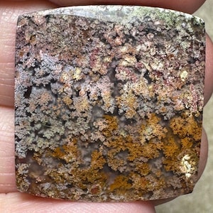 Puede incluir: Primer plano de una piedra de ágata pulida con un patrón dendrítico. La piedra es una mezcla de colores marrón, gris y blanco. El patrón dendrítico se asemeja a un bosque o un paisaje.