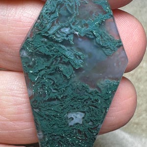 May include: A green and white agate cabochon with a dendritic pattern. The cabochon is shaped like a teardrop and has a smooth, polished surface.