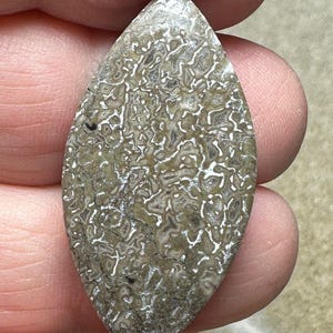 Dinosaur Bone Cabochon UK SELLER