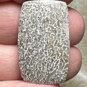 Dinosaur Bone Cabochon UK SELLER
