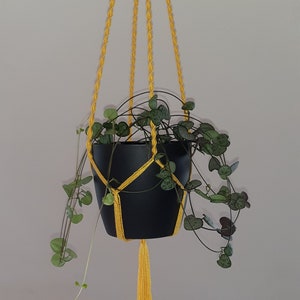 Suspension for macramé plant for yellow indoor garden