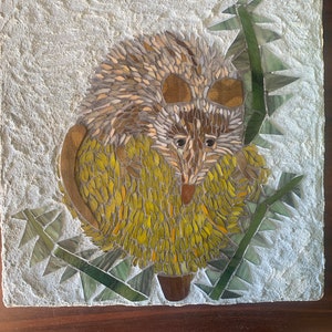 The tiny Honey Possum