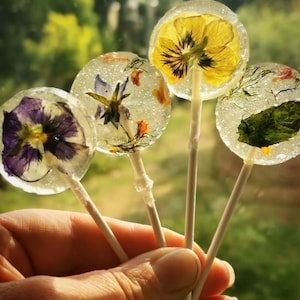 Botanical Lollipop wedding favours, baby shower, party bag, gift , pretty gift for her, flowers, herbs, unique gift, gardeners gift