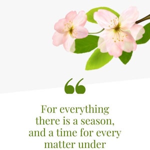 May include: A quote from Ecclesiastes 3:1 ESV, "For everything there is a season, and a time for every matter under heaven." The quote is displayed on a white background with a branch of pink cherry blossoms.