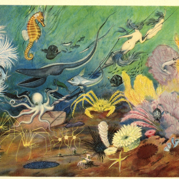 DEEP SEA CREATURES print. And 2 mermaids. Circa 1940, vintage