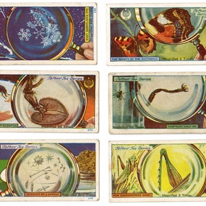 May include: A set of six vintage TyPhoo Tea Series cards featuring magnified images of various natural objects, including snowflakes, a butterfly, a blowfly, a spider's web, a sponge, and a grasshopper. Each card has a magnifying glass and text describing the object and its magnification.