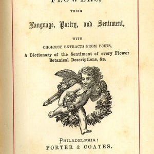 May include: Antique book cover with the title "FLOWERS, Their Language, Poetry, and Sentiment." The cover features an illustration of a cherub with wings, surrounded by a floral wreath. The publisher's name, PORTER & COATES, is printed at the bottom.