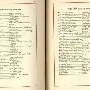 May include: Open book pages displaying lists of flower meanings from "The Language of Flowers." Text is in black font on aged, cream-colored paper. The left page lists meanings like "War" and "Weakness." The right page lists meanings like "You are perfect" and "Youthful beauty."