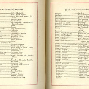 May include: Two-page spread from a vintage book titled "The Language of Flowers." The pages feature lists of flower names with associated meanings, printed in black ink on aged, cream-colored paper. The book is open to pages 206 and 227.