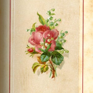 May include: A vintage floral illustration featuring a bouquet of pink roses and lily of the valley. The arrangement includes green leaves and buds, set against a cream-colored background with a red border. Text at the bottom reads "LILY OF THE VALLEY."