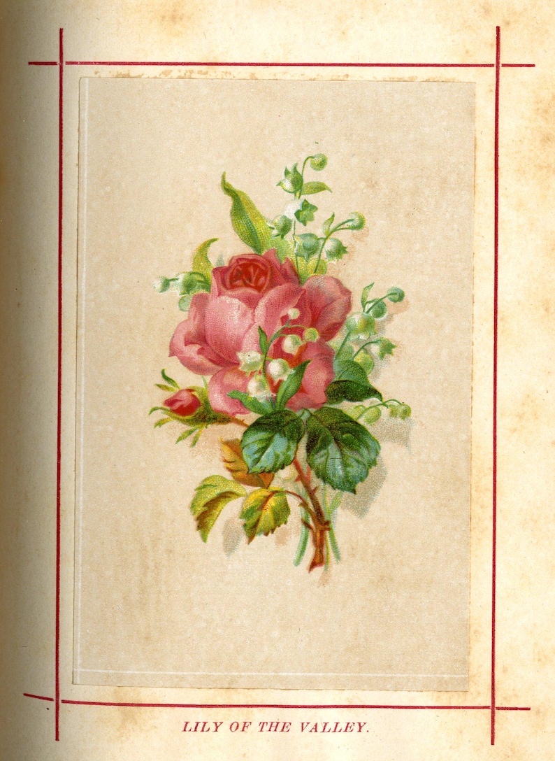 May include: A vintage floral illustration featuring a bouquet of pink roses and lily of the valley. The arrangement includes green leaves and buds, set against a cream-colored background with a red border. Text at the bottom reads "LILY OF THE VALLEY."