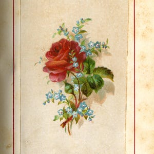 May include: A vintage floral illustration featuring a large red rose, small blue forget-me-nots, and green leaves. The image is framed with a red border and the text "FORGET-ME-NOT" is at the bottom.