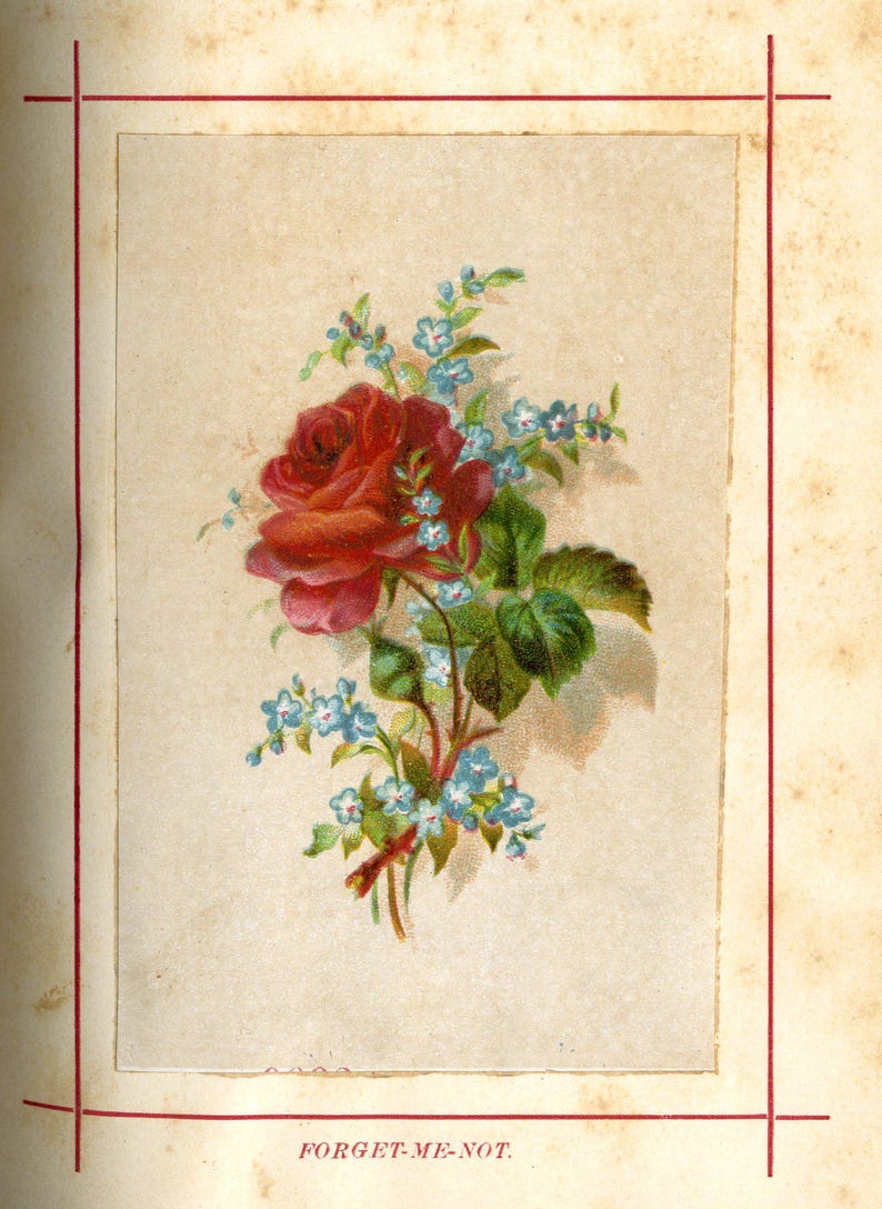 May include: A vintage floral illustration featuring a large red rose, small blue forget-me-nots, and green leaves. The image is framed with a red border and the text "FORGET-ME-NOT" is at the bottom.