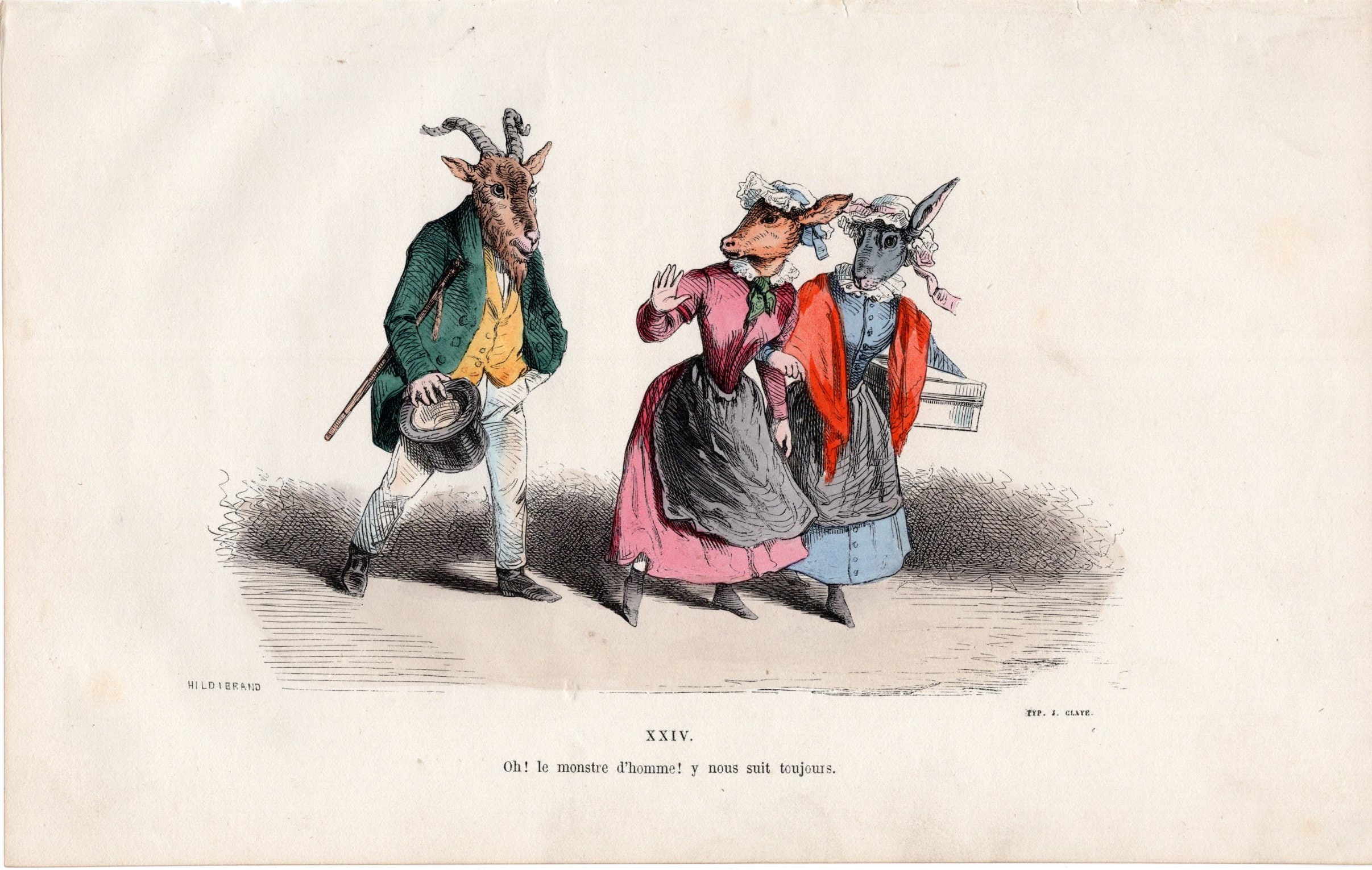 FRENCH ILLUSTRATION - Hand Colored, J.J.GRANDVILLE, Metamorphic