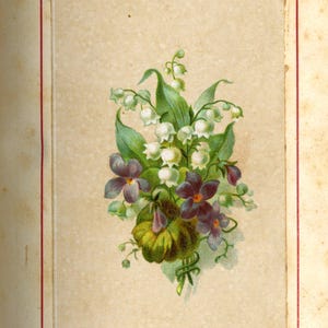 May include: A vintage botanical illustration of a bouquet of flowers, including white lily of the valley and purple violets. The image is set against a beige background with a red border, and the word "VIOLET" is printed at the bottom.