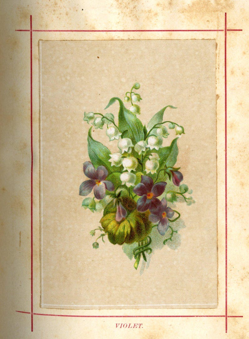 May include: A vintage botanical illustration of a bouquet of flowers, including white lily of the valley and purple violets. The image is set against a beige background with a red border, and the word "VIOLET" is printed at the bottom.