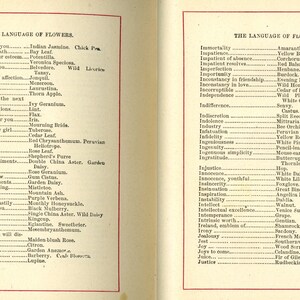 May include: Open book pages displaying lists of flower meanings, titled "THE LANGUAGE OF FLOWERS." Text includes flower names and associated sentiments, such as "I love" and "I never trouble."