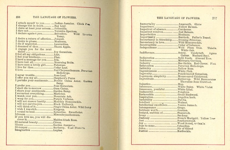 May include: Open book pages displaying lists of flower meanings, titled "THE LANGUAGE OF FLOWERS." Text includes flower names and associated sentiments, such as "I love" and "I never trouble."