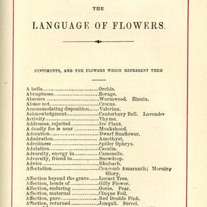 May include: A vintage book page titled "The Language of Flowers," listing sentiments and the flowers that represent them. The page has a red border and features a list of flowers like Orchis, Borage, and Wormwood.