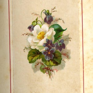 May include: A vintage botanical illustration of a floral arrangement featuring a large white flower with a yellow center, surrounded by small purple flowers and green leaves. The word "OLEANDER" is printed at the bottom.