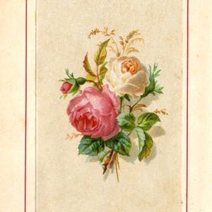 May include: A vintage illustration of a bouquet of tea roses. The arrangement features a large pink rose, a cream-colored rose, and a small rosebud, all surrounded by green leaves. The text "TEA ROSE" is at the bottom.