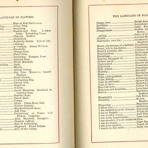 May include: Two-page spread from a vintage book titled "The Language of Flowers." The pages feature lists of flower names and their symbolic meanings, printed in black ink on aged paper with red borders.