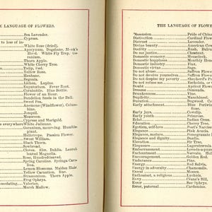 May include: Two-page spread from an antique book titled "The Language of Flowers." The pages feature lists of flower names and their associated meanings, printed in black ink on aged paper with red borders.