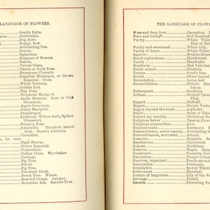 May include: Open book pages with text titled "THE LANGUAGE OF FLOWERS" and a list of flower meanings. The pages are aged with a red border. The text is in black font.